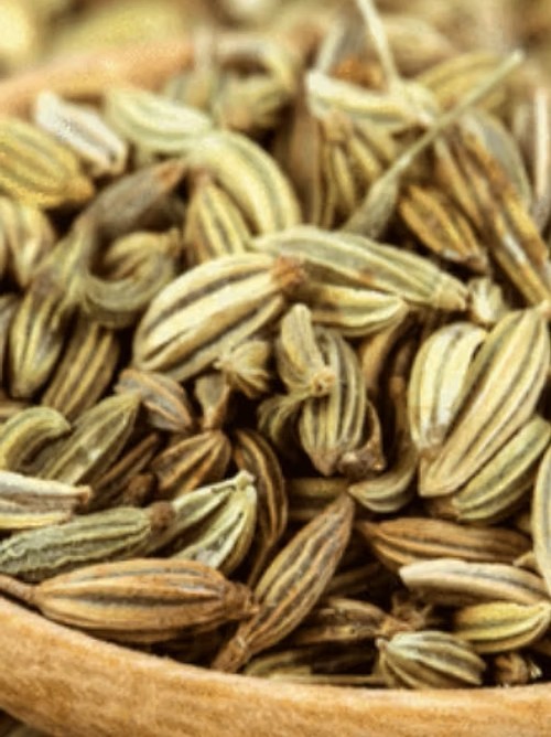 Huile végétale de fenouil – Bienfaits digestifs et antioxydants d’une plante ancestrale palestinienne