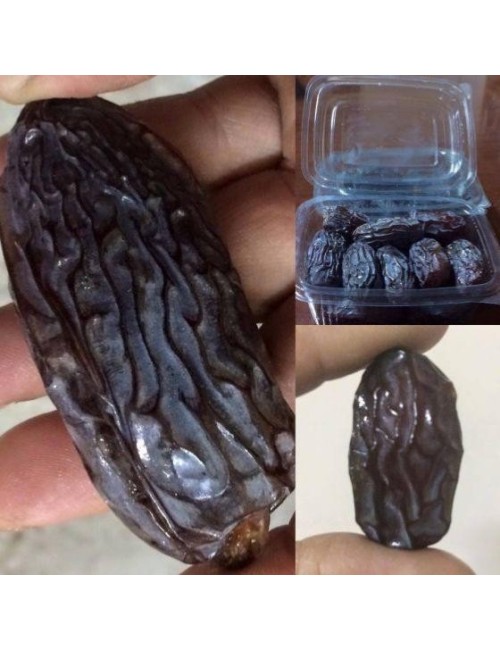 Datte Medjoul Qualité supérieure taille moyenne 500 G