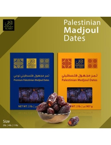 Achetez des dattes de Palestine sur Solivr : qualité et authenticité garanties