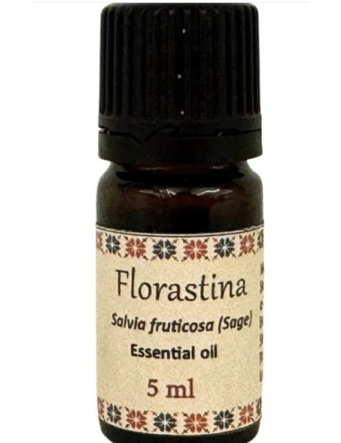 Huile essentielle de Salvia fruticosa – Vertus naturelles d’une plante médicinale palestinienne