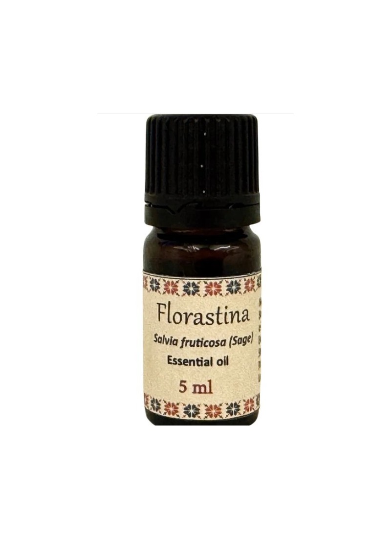 Huile essentielle de Salvia fruticosa – Vertus naturelles d’une plante médicinale palestinienne