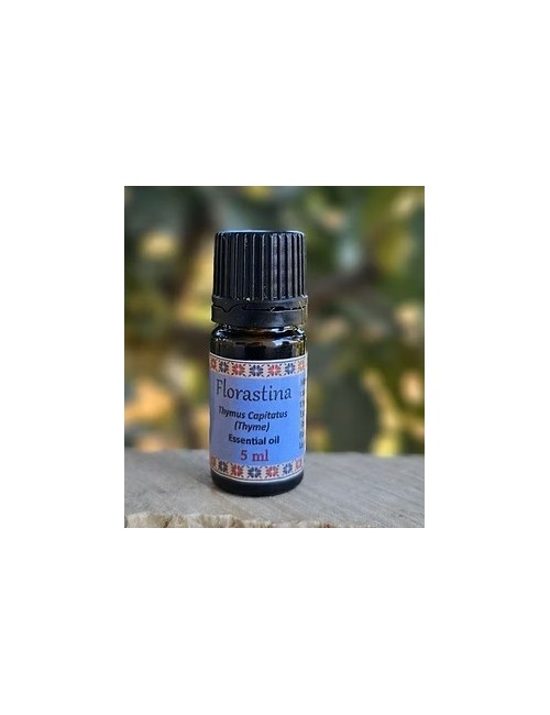 Huile essentielle de Thymbra capitata – Thym sauvage de Palestine, antiseptique naturel et purifiant puissant