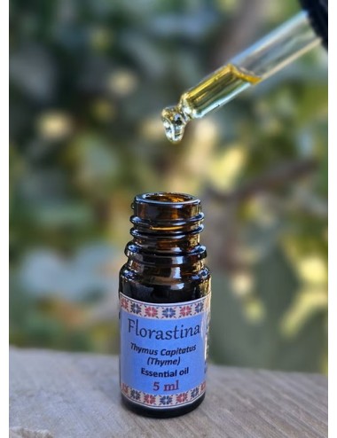 Huile essentielle de Thymbra capitata – Thym sauvage de Palestine, antiseptique naturel et purifiant puissant