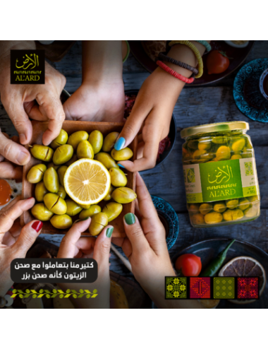 OLIVES VERTES DE PALESTINE 220 G