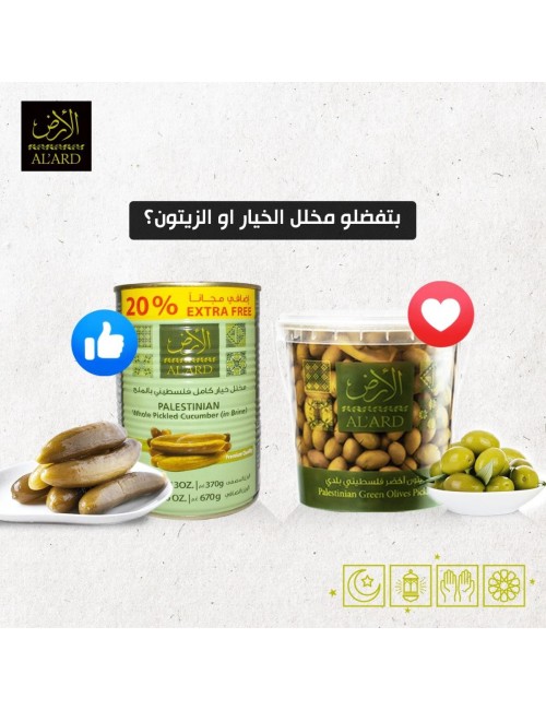 OLIVES VERTES DE PALESTINE 220 G