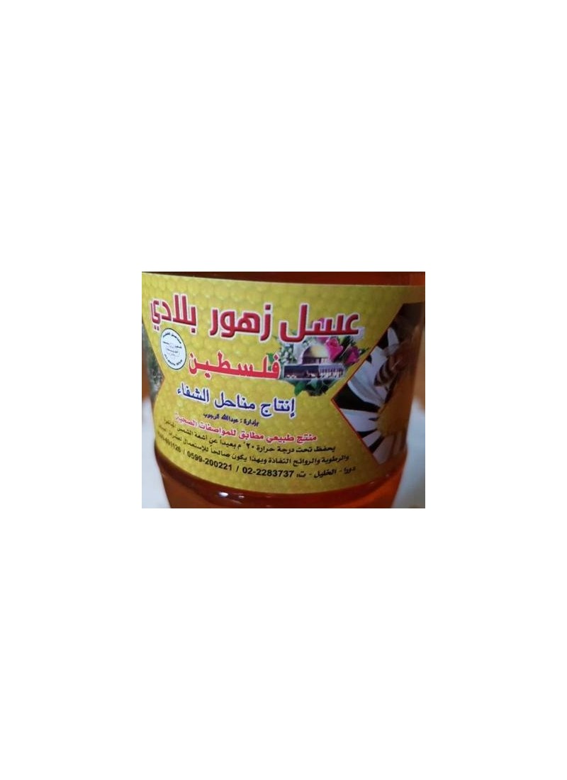 MIEL POLY FLORAL DE PALESTINE 500 G