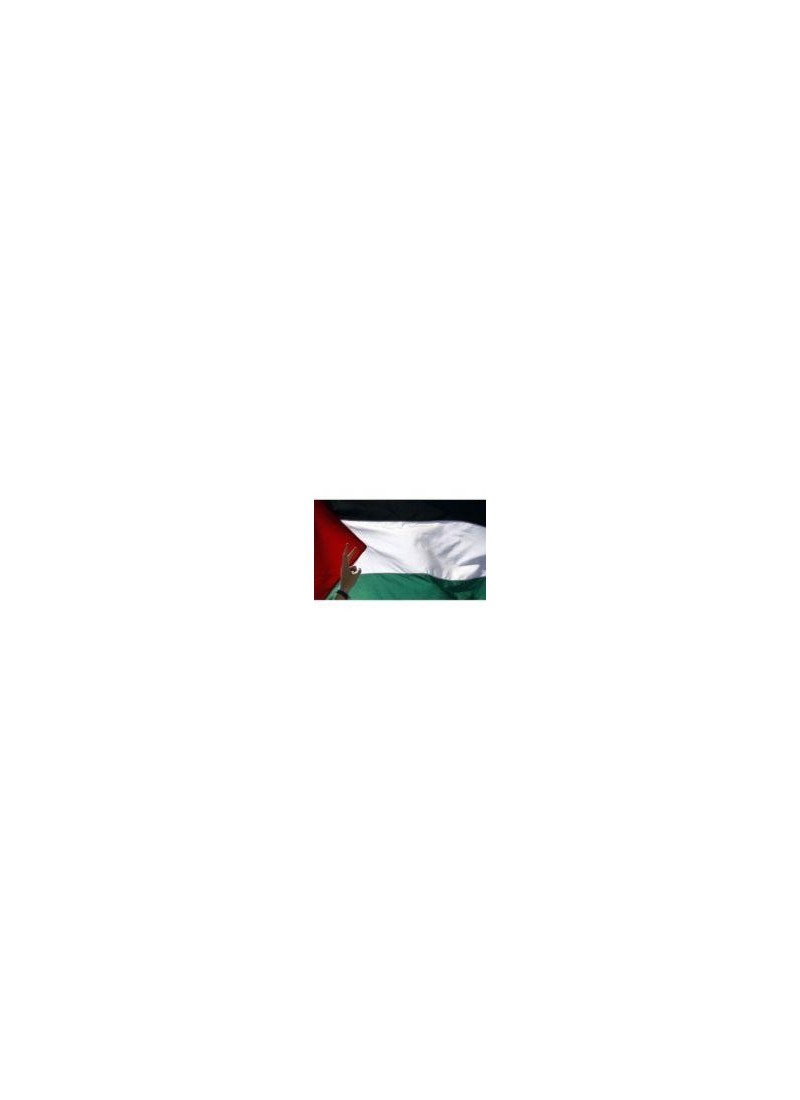 Drapeau palestinien