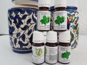 Huile essentielle d'Origanum syriacum (Zataar)